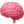 🧠