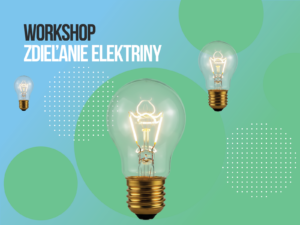 Zdieľanie elektriny